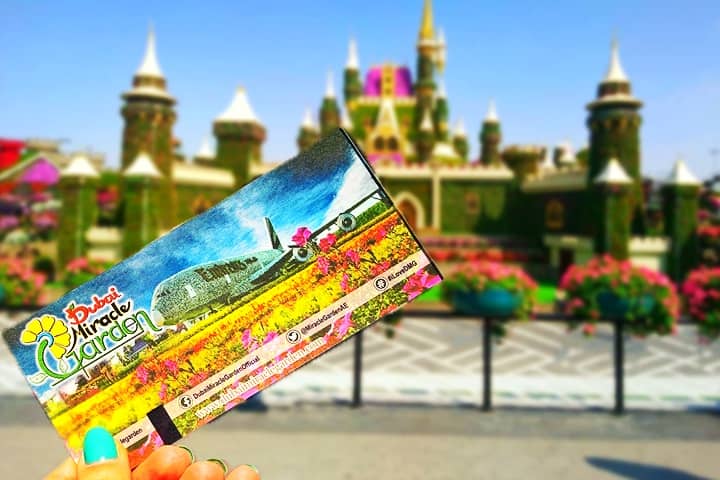 The ticket price of Dubai Miracle Garden is reasonably positined as compared to many other popular tourist destinations across Dubai.