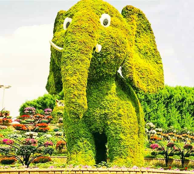 Baby Elephants Topiary Art Structure at the Dubai Miracle Garden