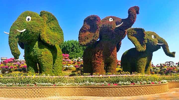 Baby Elephants Topiary Art is 30 feet tall and 10 feet wide.