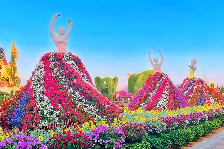 Ballet Dancers are the most colorful floral theme at the Dubai Miracle Garden.