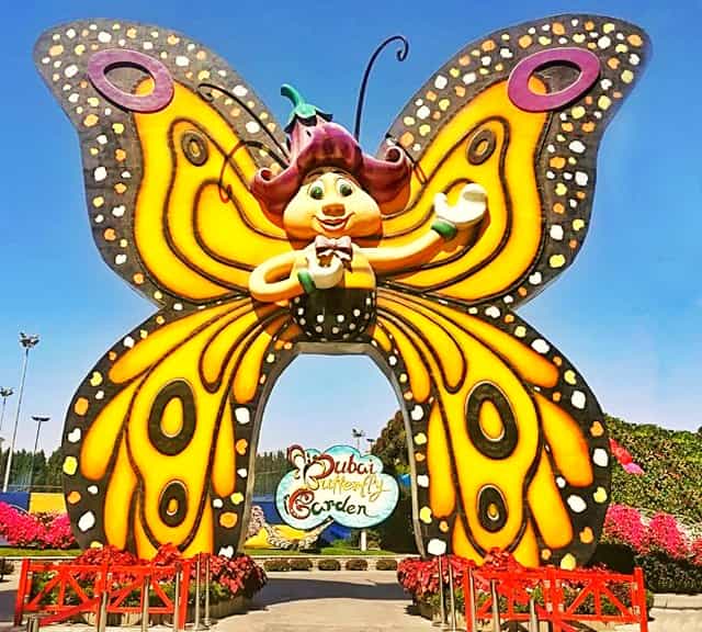 Dubai butterfly garden is biggest butterfly garden in the world.