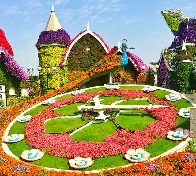 Dubai Miracle Garden closes every summer for renovation and innovation