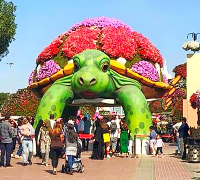 People rush to Dubai Miracle Garden upon hearing the closing date.