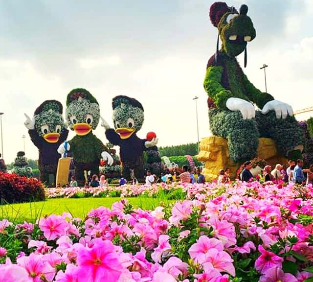 Don't pluck flowers at the Dubai Miracle Garden