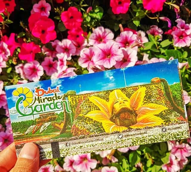Don't purchase tickets online for Dubai Miracle Garden.