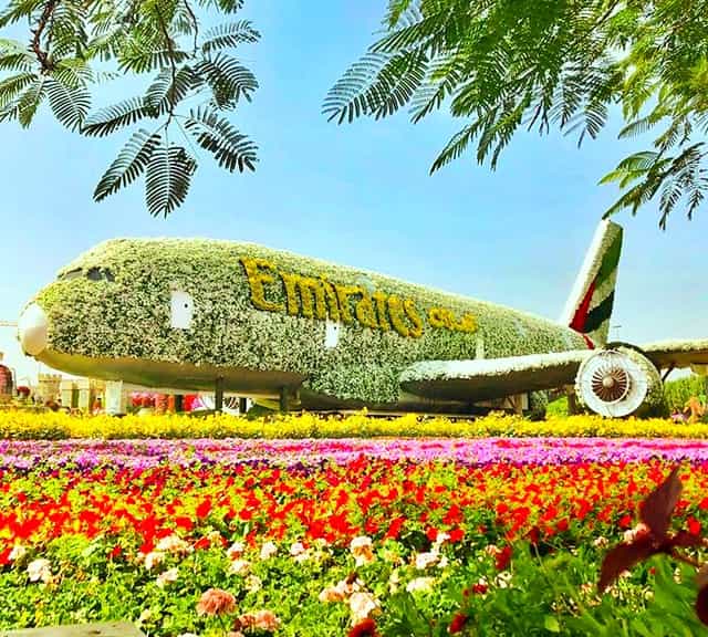 Flowers bloom at best from November to January at the Dubai Miracle Garden.