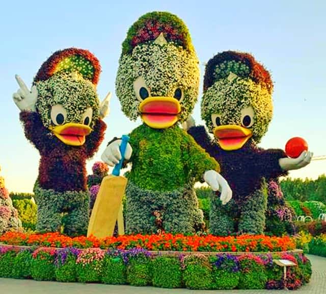 visit on special occasions at the Dubai Miracle Garden such as UAE National Day, Valentine's Day etc.