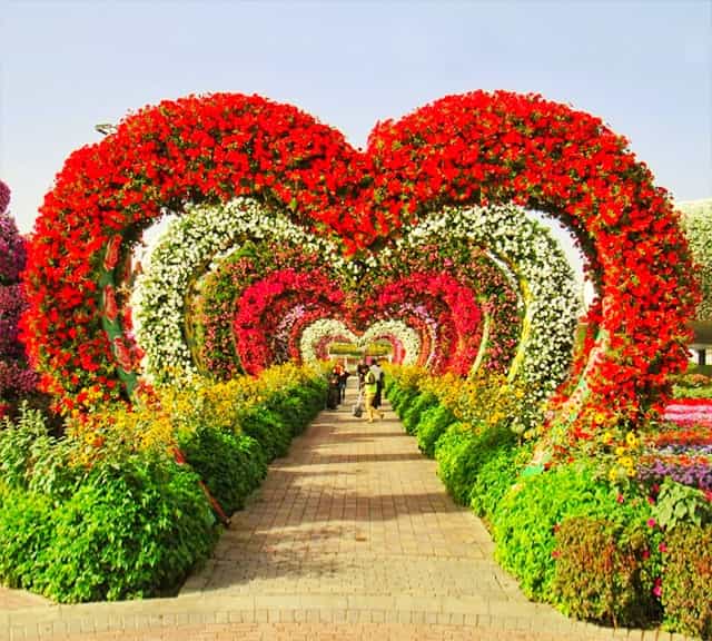 Do watch all the floral themes of the Dubai Miracle Garden