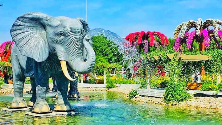 Elephant Fountains at the Dubai Miracle Garden.