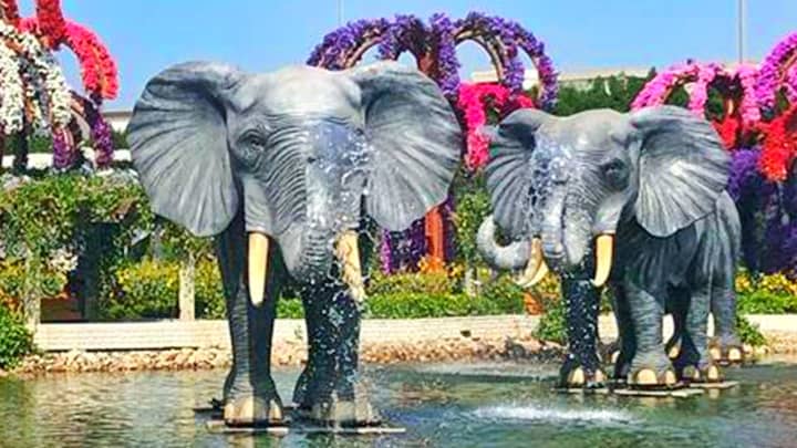 Elephant Fountains have no flowers on them.