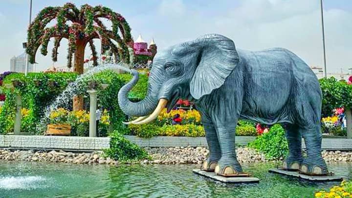 Elephant Fountains are very popular at the Dubai Miracle Garden.