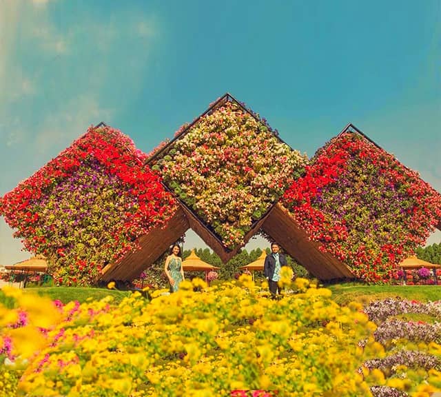 Floral Boxes making up a passage at the Dubai Miracle Garden.