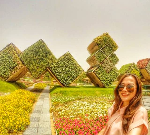 Floral Boxes Photographs at Dubai Miracle Garden.