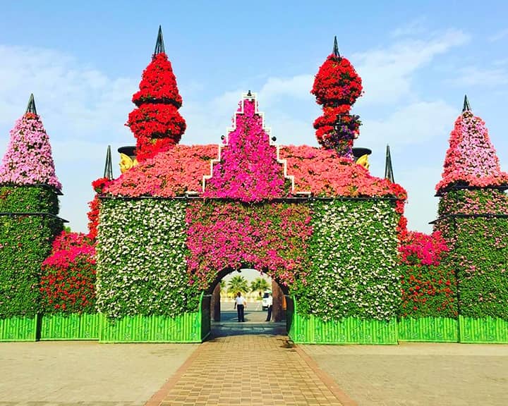 Floral Castles are adorned with Petunia flowers at the Dubai Miracle Garden.