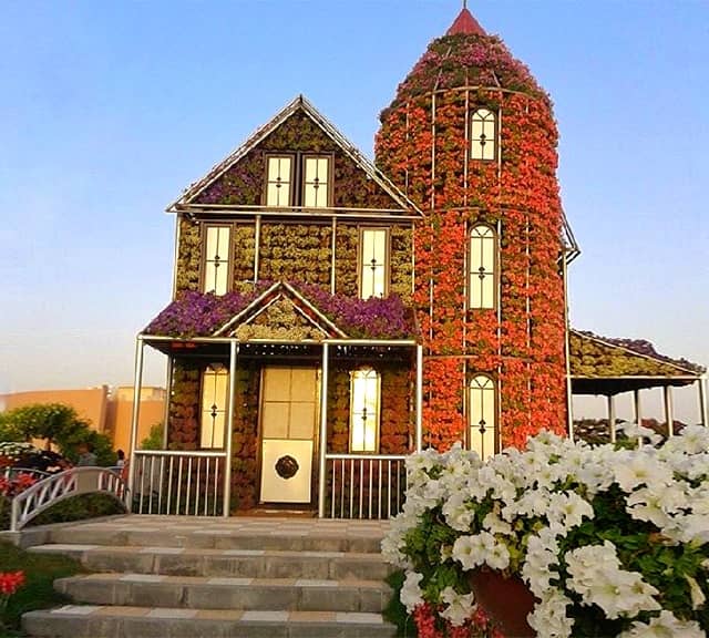 Petunia flowers at Floral Houses and Bungalows of Dubai Miracle Garden
