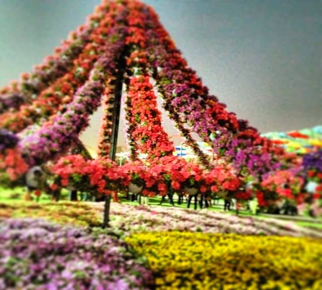 Introduction of Floral Marquees at the Dubai Miracle Garden.