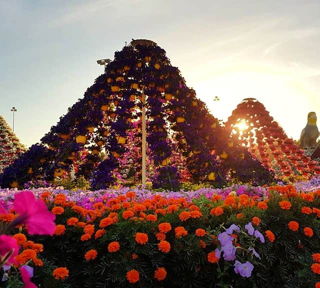 Floral Marquees structure at the Dubai Miracle Garden