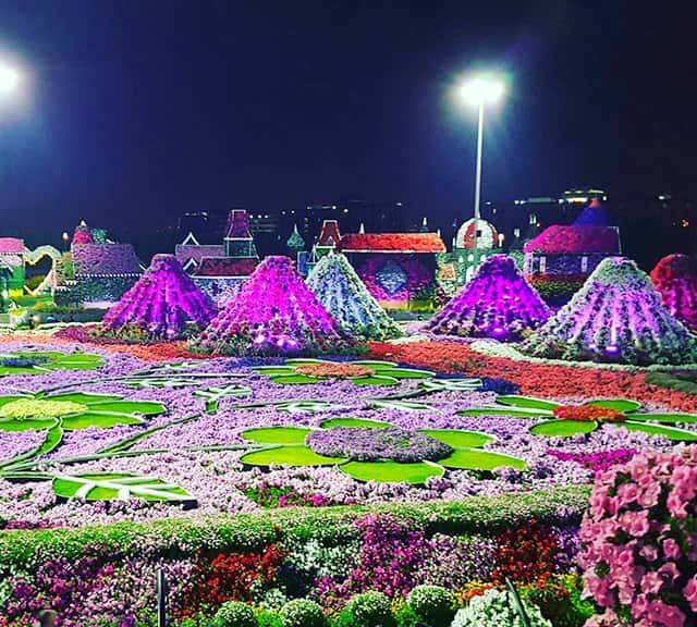 Photograph of a Floral Marquee at the Dubai Miracle Garden.