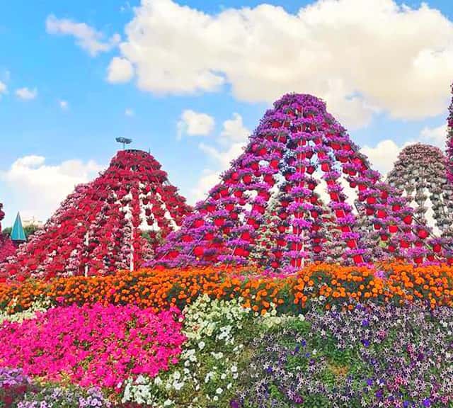 Floral Marquees Size at the Dubai Miracle Garden