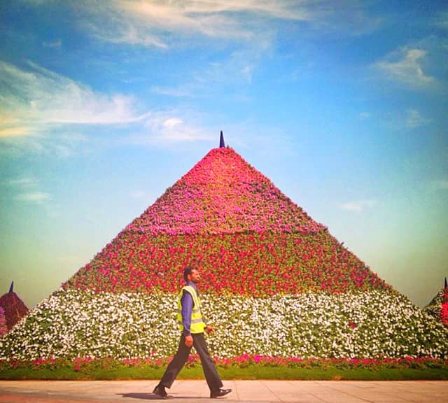 Floral Pyramids History - Dubai Miracle Garden