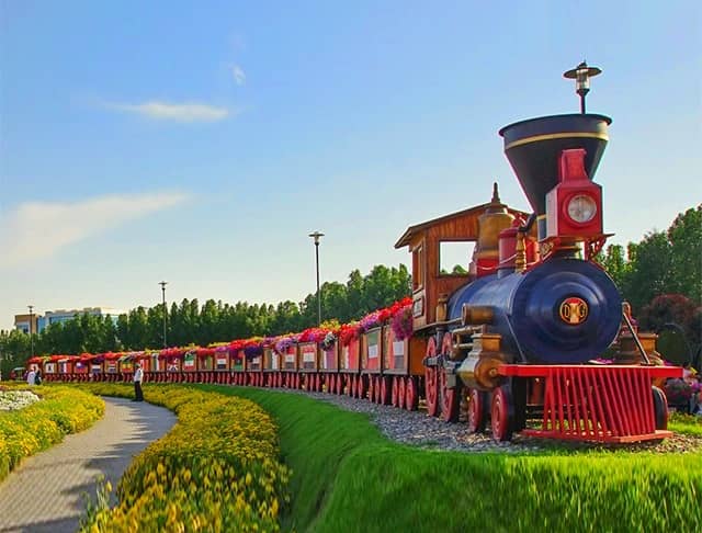 Size and length of the Floral Train at the Dubai Miracle Garden. 