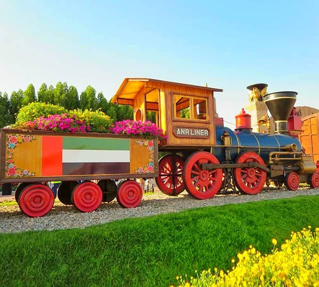 Petunia flowers used in decoration of Floral Trains at the Dubai Miracle Garden.