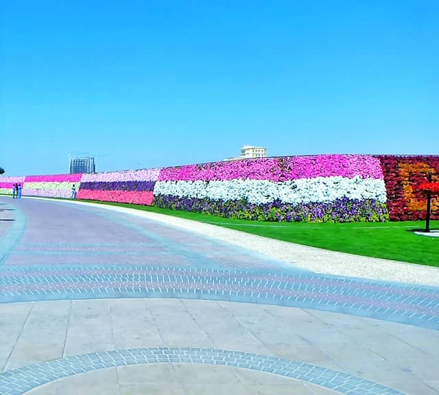 Longest Flower Wall was only introduced in Season 1 at the Dubai Miracle Garden