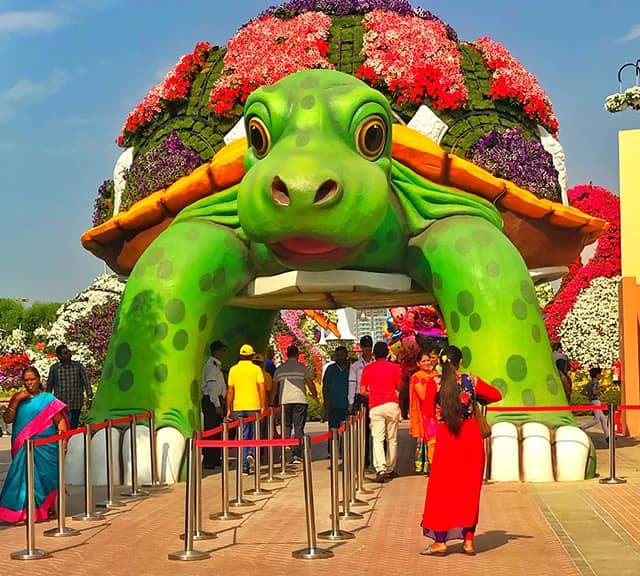 Giant Tortoise has a solid structure at Dubai Miracle Garden