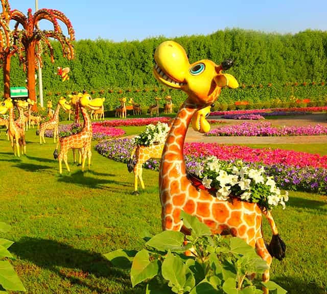 Giraffes floral theme at Dubai Miracle Garden