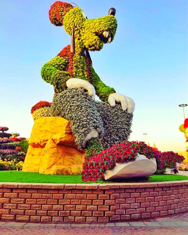 Goofy's Topiary Art at the Dubai Miracle Garden.