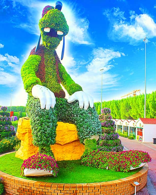 Goofy's Topiary Art - Season 7 at Dubai Miracle Garden.