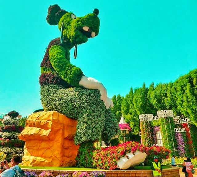Size of Goofy's Topiary Art at the Dubai Miracle Garden.