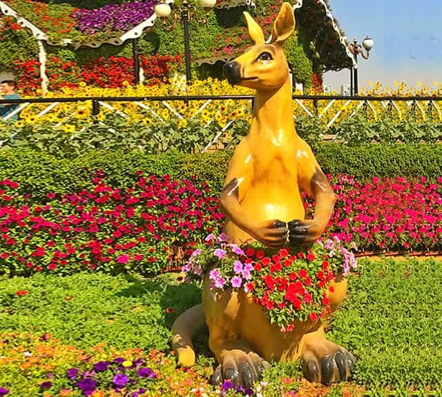 Huge sizes of floral Kangaroos at Dubai Miracle Garden.