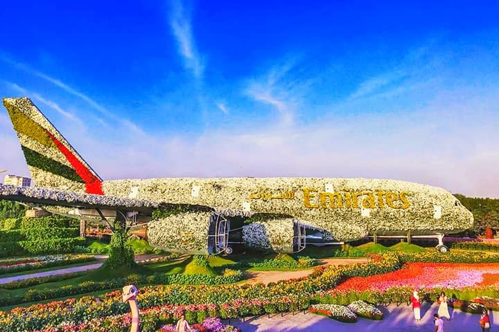 Dubai Miracle Garden has featured in Guinness Book of World Records for 3 times.