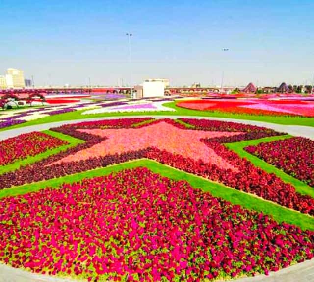 The Dubai Miracle Garden was launched on Valentine's Day in 2013