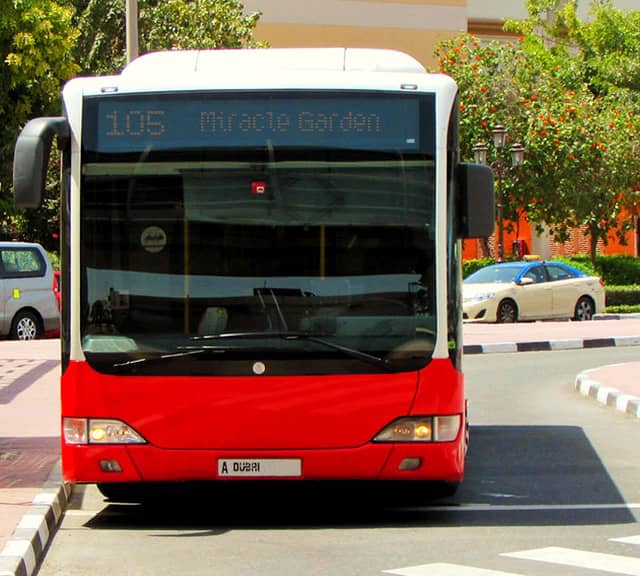 RTA Bus No. 105 directly operates from Mall of Emirates to Dubai Miracle Garden.