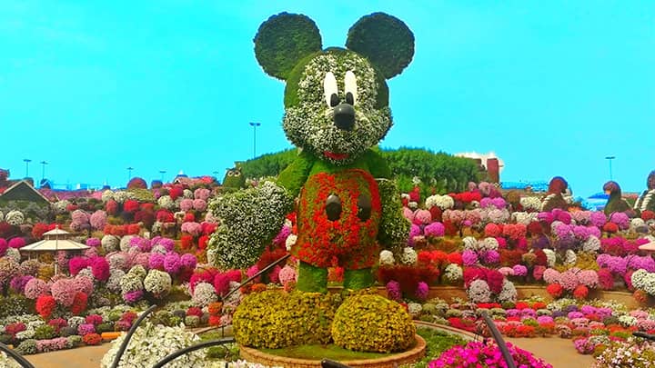 Mickey Mouse Topiary Art in Guinness Book of World Records for the tallest topiary art in the world.
