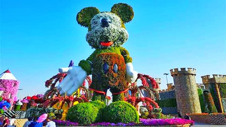 Mickey Mouse - Topiary art at the Dubai Miracle Garden.