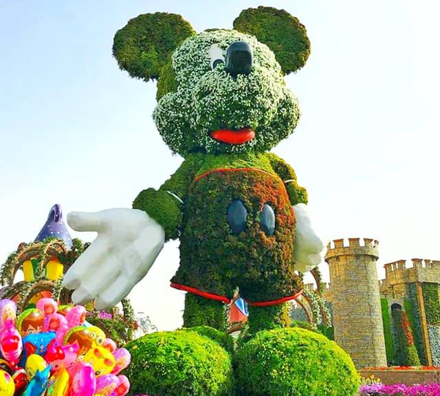 Mickey Mouse Topiary Art with Petunia flowers and Alternanthera