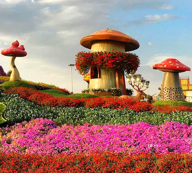 Mushroom House size at the Dubai Miracle Garden