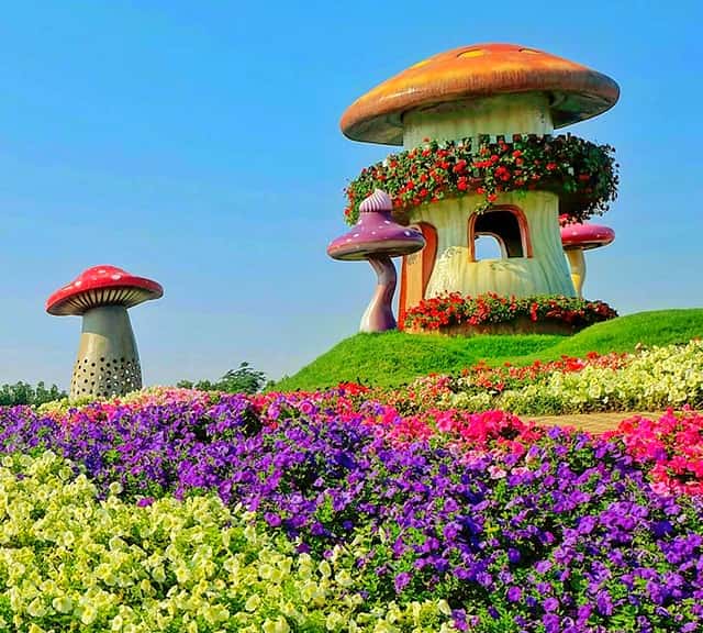 Mushroom Houses structure at the Dubai Miracle Garden.