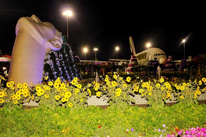 Enjoy worry free night extravaganza at the Dubai Miracle Garden