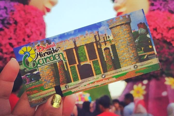55 AED ticket price of the Dubai Miracle Garden is only sold at the official ticketing counters.