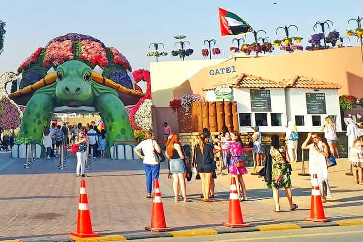 No Online Tickets from Dubai Miracle Garden and only purchase tickets from the official ticket counters of the garden.