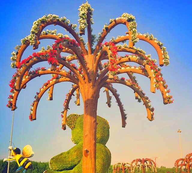 The Palm Trees are 20 feet high from the ground level at the Dubai Miracle Garden