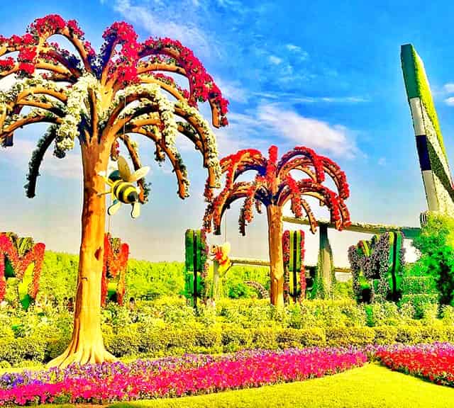 Palm Trees were first introduced in the season six of Dubai Miracle Garden.