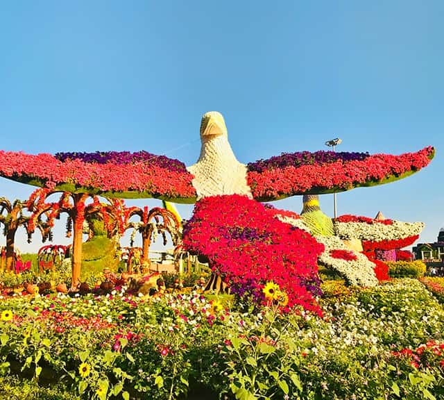 Parrots full of flowers at Dubai Miracle Garden