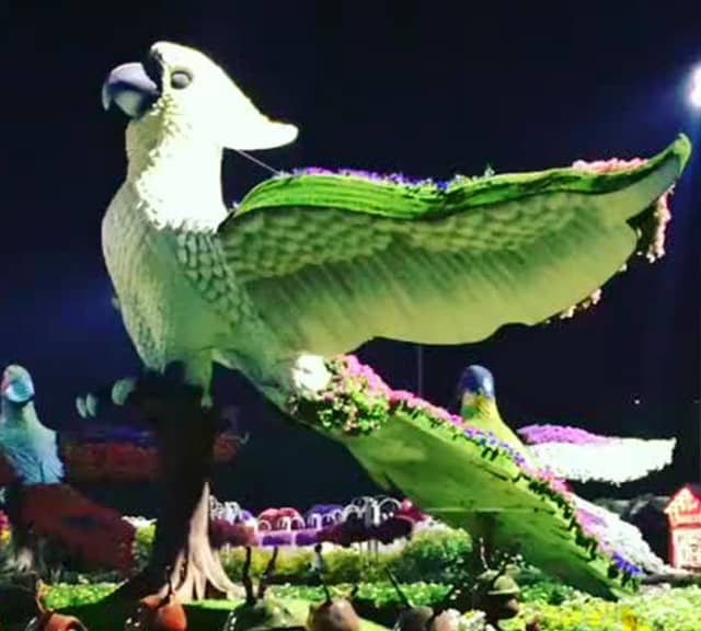 Popularity of Parrots at Dubai Miracle Garden.