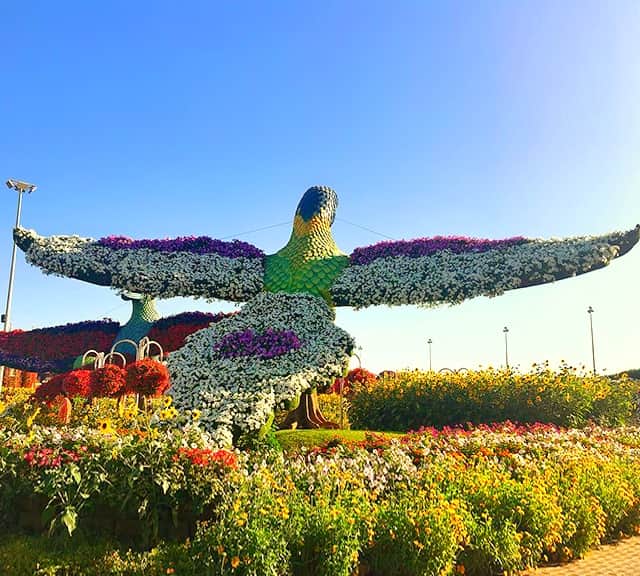Parrots floral theme is decorated with Petunia flowers at Dubai Miracle Garden