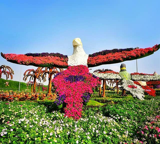 Parrots floral themes were introduced in season six of Dubai Miracle Garden